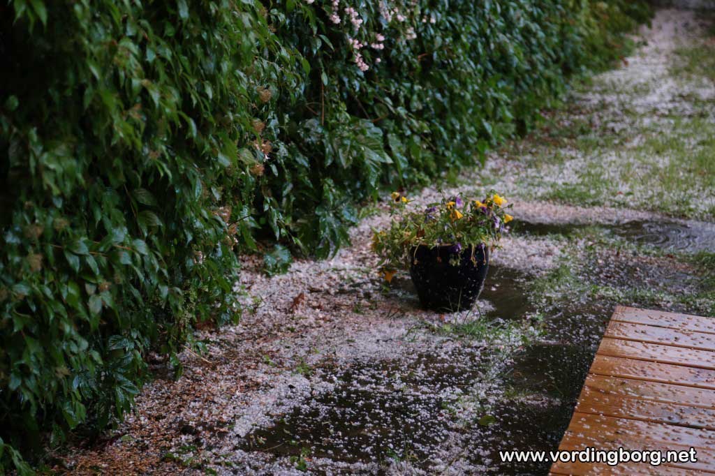 Store hagl i Vordingborg