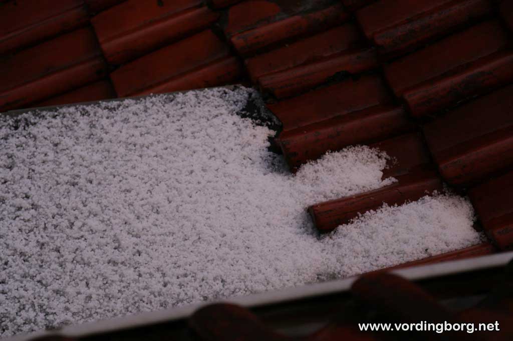 Store hagl i Vordingborg