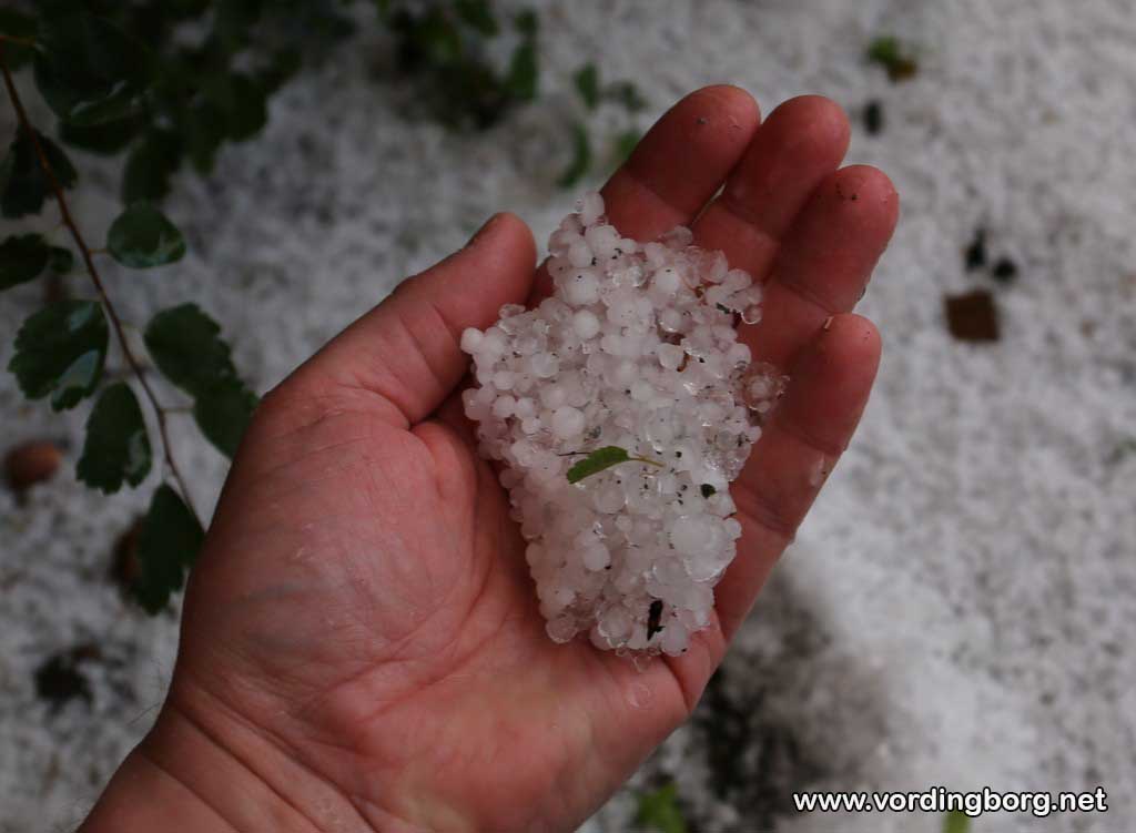 Store hagl i Vordingborg