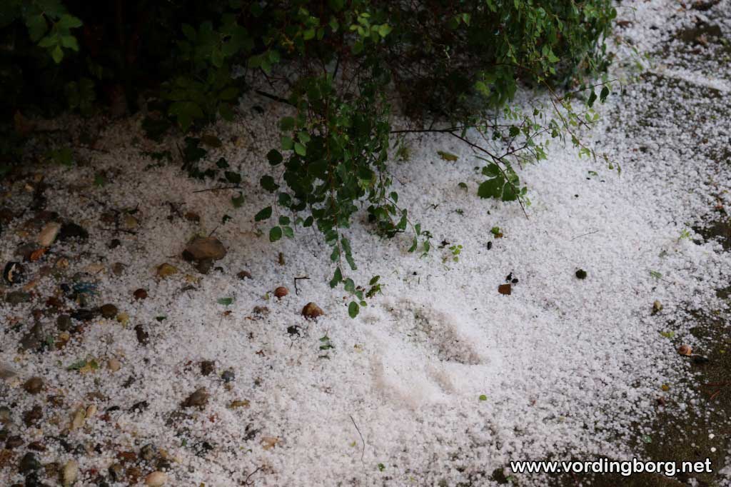 Store hagl i Vordingborg