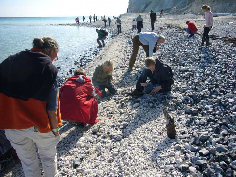 GeoCenter Møns Klint