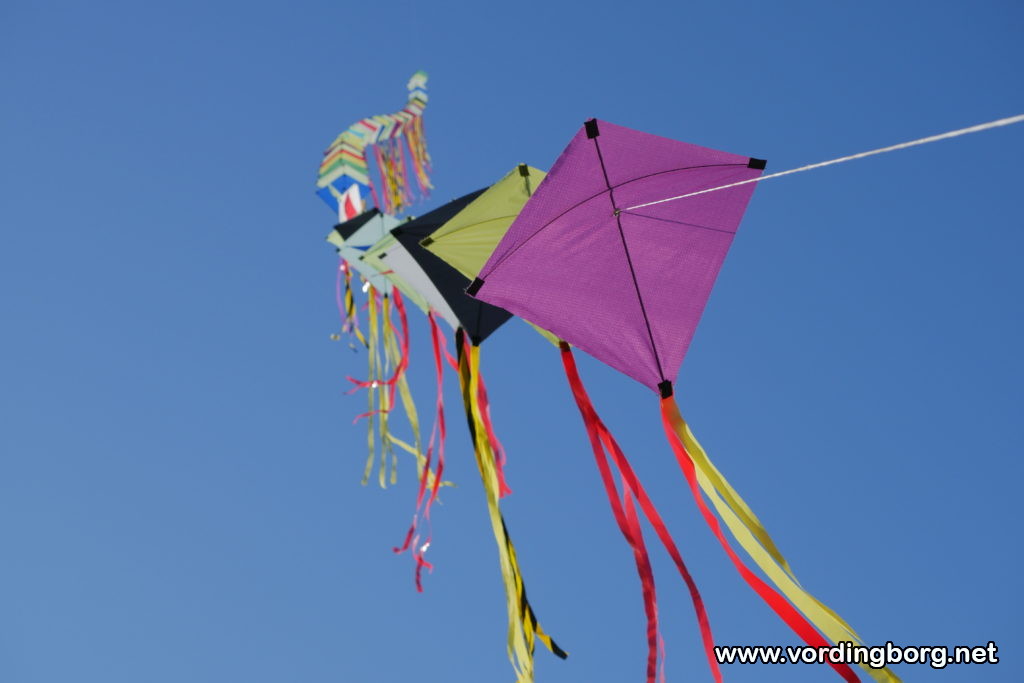 Møn Dragefestival