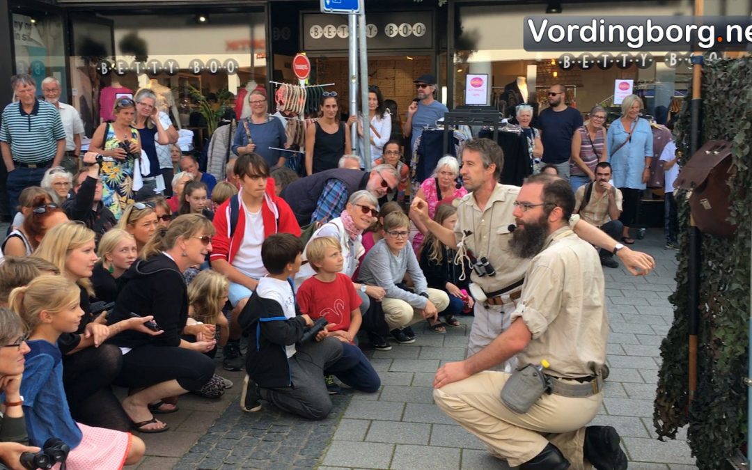 Waves Festival 2017 i Vordingborg er i fuld gang [Video]
