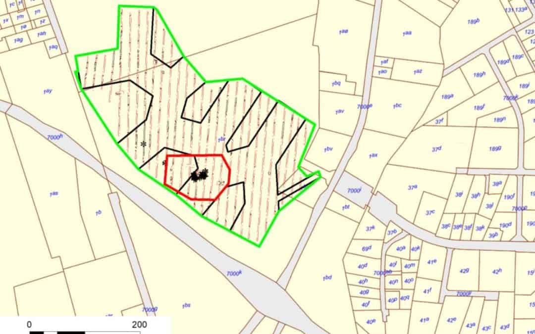 Præstø: Antonihøjen gemmer på gård fra middelalderen