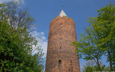Kom i Gåsetårnet for kun kr. 25.-