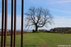 Danmarks Borgcenter er åbent