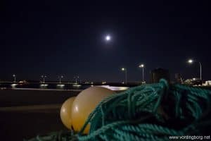 Pink Floyd Project på Klintholm Havn