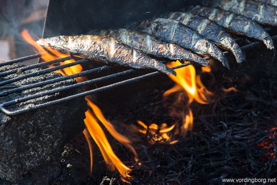 Sildemarked og Middelaldermarked i Stege 6. september 2014