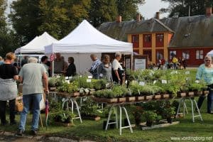 Kulinarisk Rosenfeldt 2014