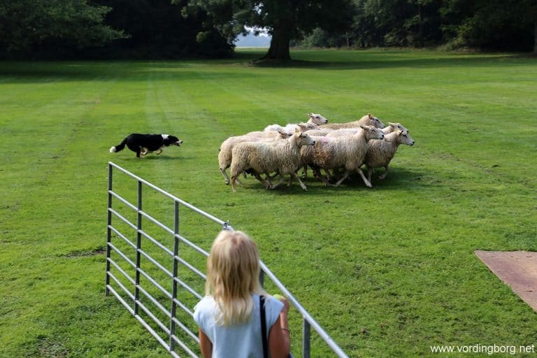 Kulinarisk Rosenfeldt 2014