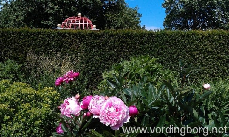 Historisk Botanisk Have i Vordingborg