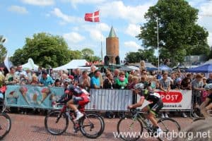 DM i landevejscykling 2013 - Herre Elite - Linjeløb