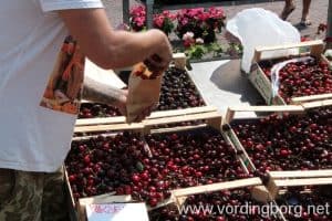 Lørdagsmarked på Slotstorvet Vordingborg