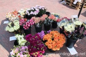 Lørdagsmarked på Slotstorvet Vordingborg