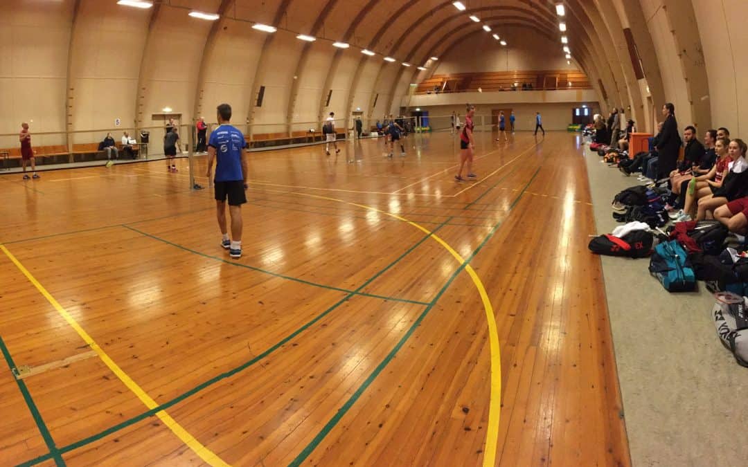 Den store familie