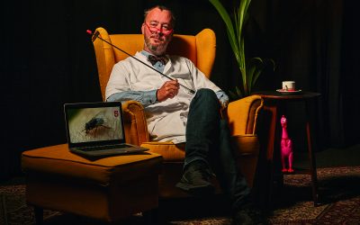 STARS præsenterer Quizzeriet