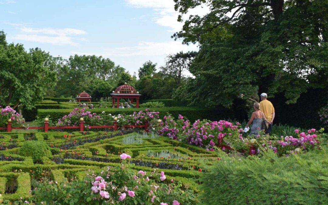 Spændende rundtur i Historisk Botanisk Haves smukke blomster og planter