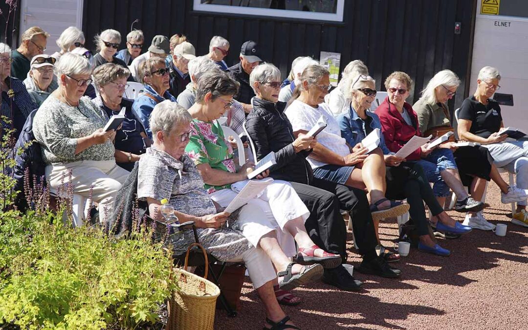 Højskoleaftener på Vordingborg Fri Fagskole 2024/2025 – se program her