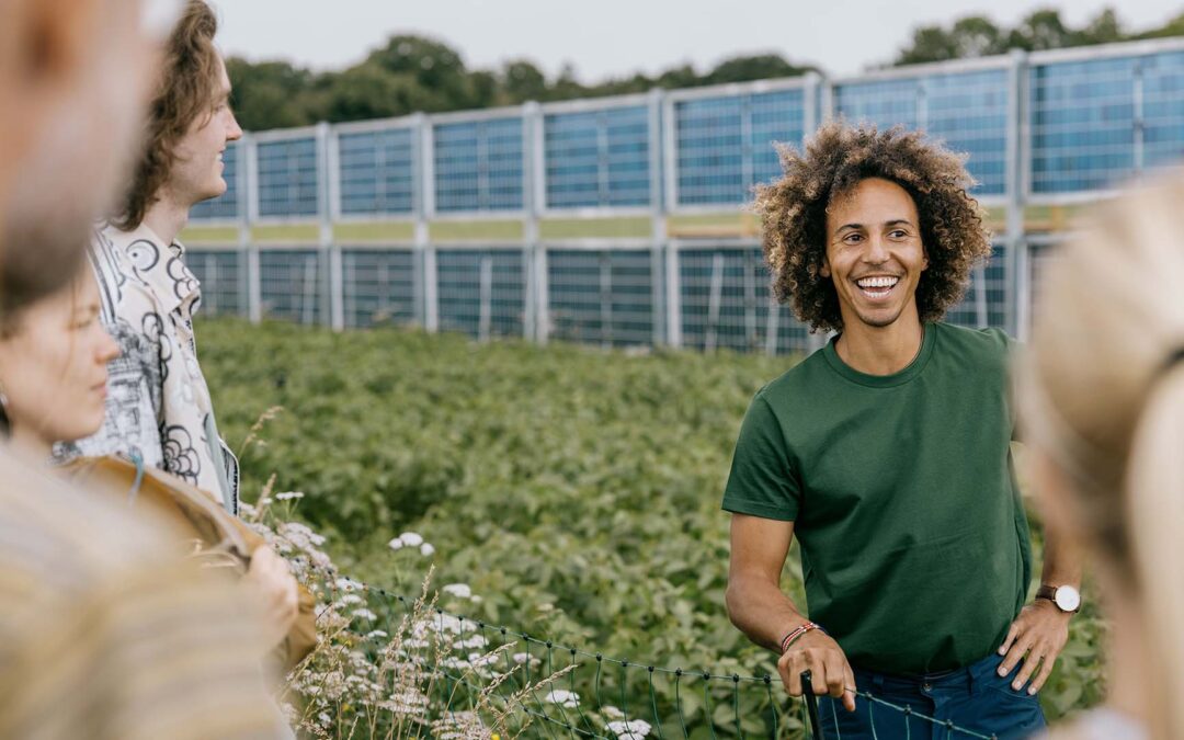 Dobbelt høst: Solpaneler og afgrøder kan dele mark – uden tab