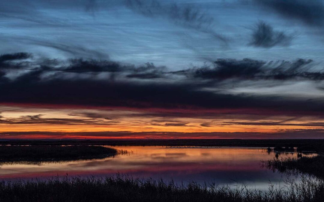 Oplev naturen i Tusmørket i Dark Sky Park Nyord