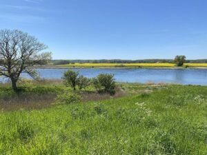Jungshoved Nor - Foto: Vordingborg Kommune