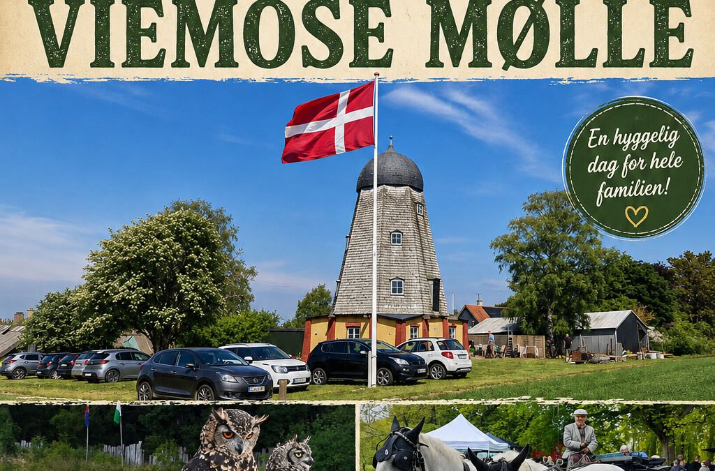 Møllemarked