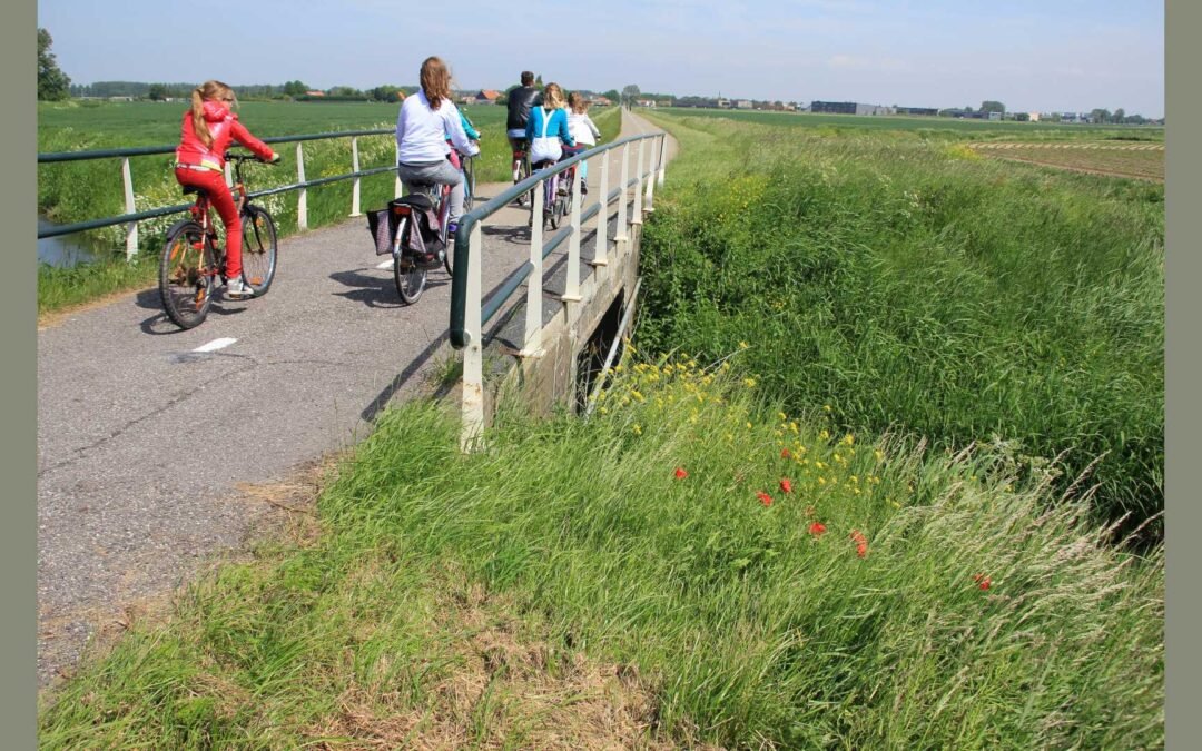 Flere børn skal have cyklen ind i hverdagen i Vordingborg Kommune