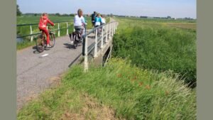 Boern-cykler