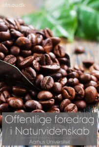 kaffe2022.large_