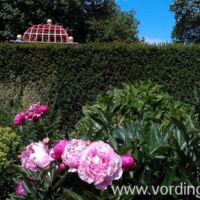 Historisk Botanisk Have i Vordingborg